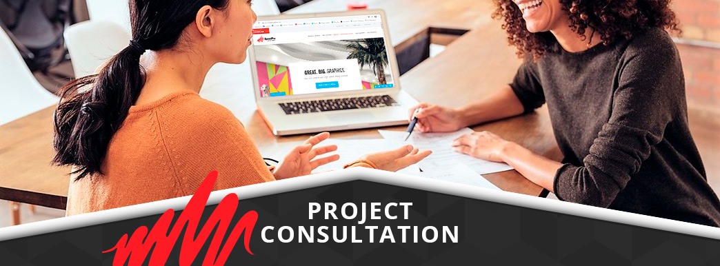 Project Consultation