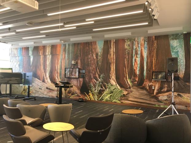 digital signage tree wall mural
