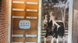 Paint Horse acrylic signs