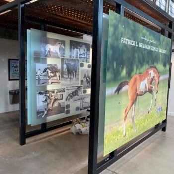 Paint Horse acrylic signs