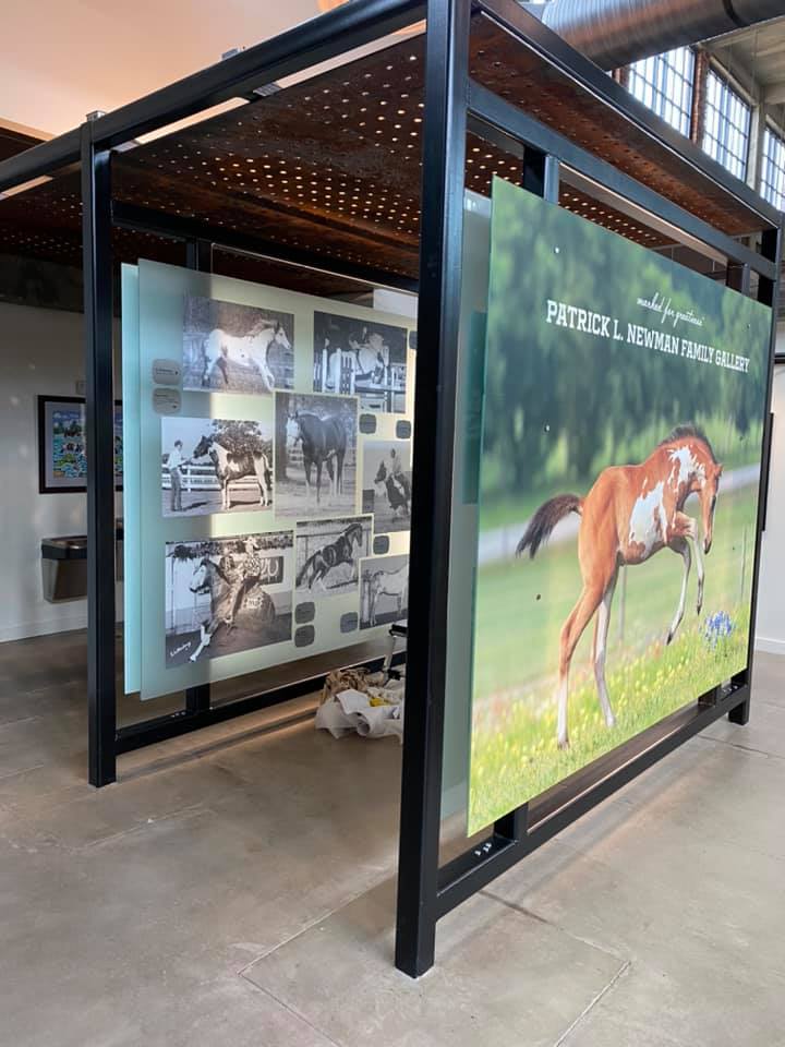 Paint Horse acrylic signs