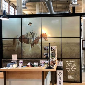 Paint Horse window graphics