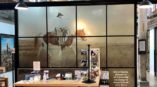 Paint Horse window graphics