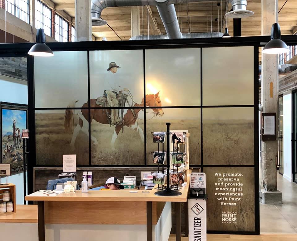 Paint Horse window graphics