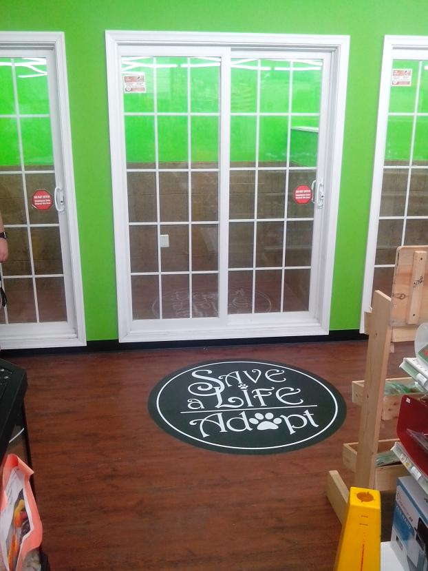 Save a life adopt floor graphic on wood tile