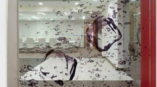 Window graphic of water and ice