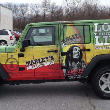 Healthy Goods mini fridge wrap